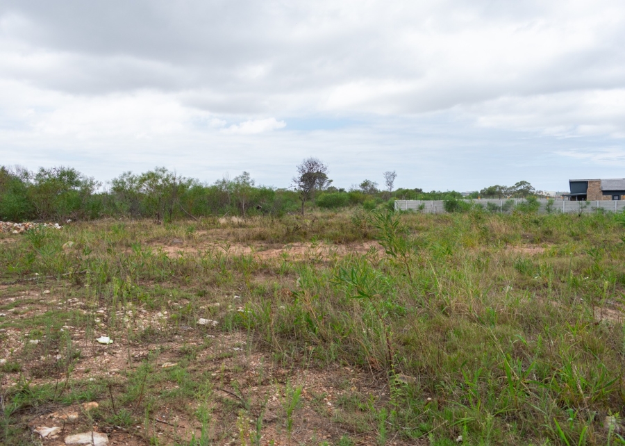 0 Bedroom Property for Sale in Fairview Eastern Cape